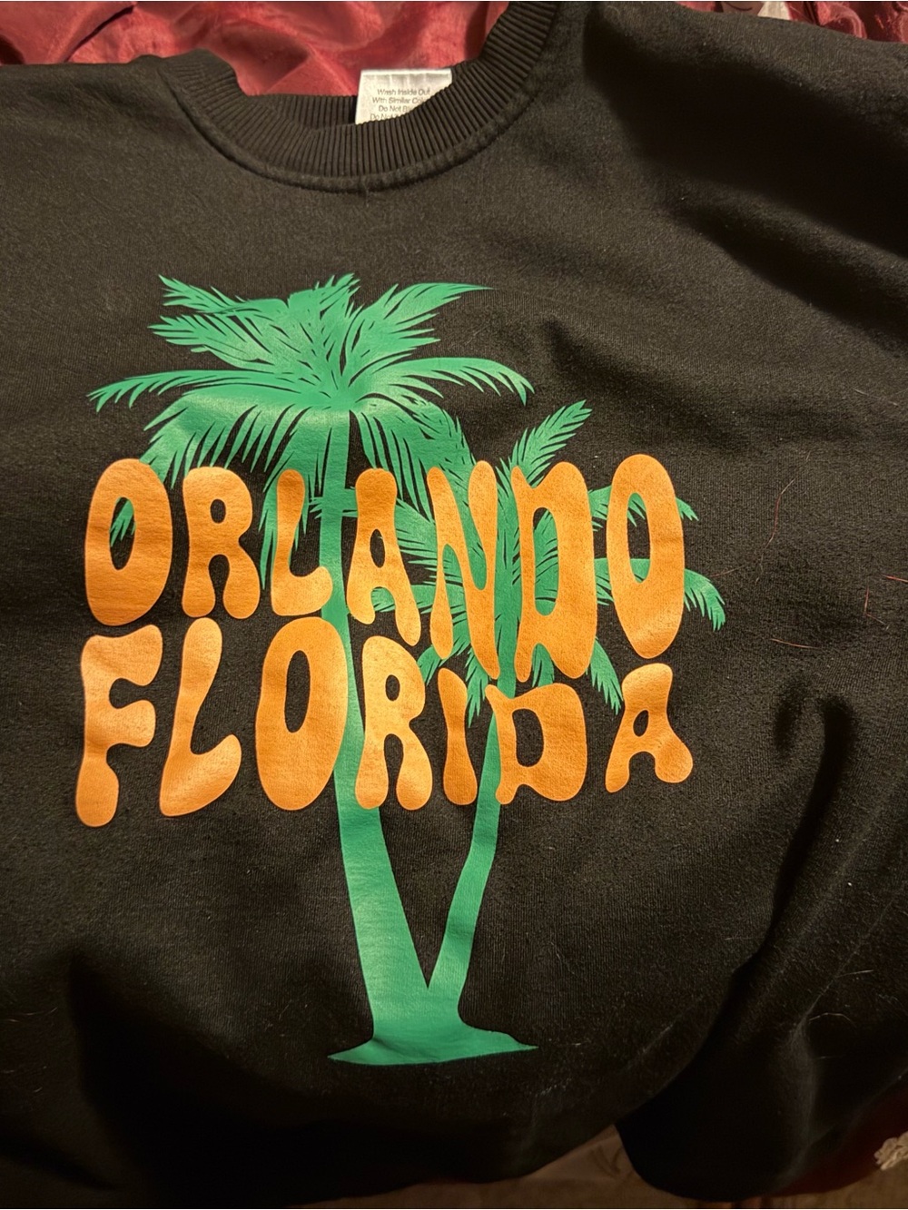 Orlando Florida Sweatshirt